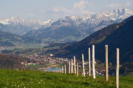 Oberallgäu: Vom Schlettermoos zum Köpfle und zur Thaler Höhe (Oberstaufen)