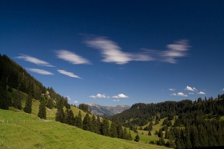 Oberallgäu: Entlang des Königsweg von Obermaiselstein auf den Besler (Grasgehren)
