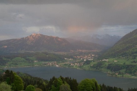Oberallgäu: Seeblick mit Blick auf den Alpsee bei Immenstadt (Immenstadt)