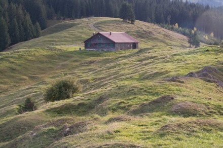 Oberallgäu: Höllritzer Alpe (Gunzesried)