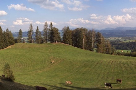 Oberallgäu: Das Waldhäusle bei Waltenhofen - Rohrbachtobel (Waltenhofen)