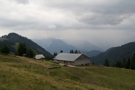 Oberallgäu: Hintereck Alpe (Bolsterlang)