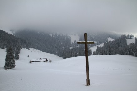 Oberallgäu: Von der Bärenfalle (Alpsee) zur Kleine Starkatsgund Alpe (Immenstadt)
