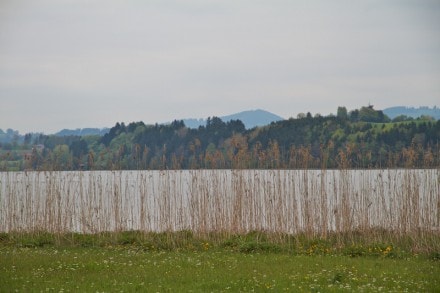 Oberallgäu: Rundwanderung um den Niedersonthofener See (Niedersonthofen)