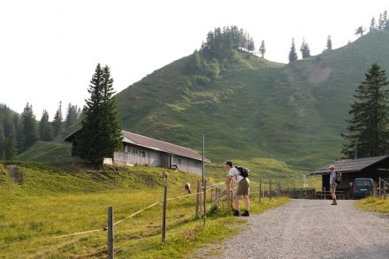 Oberallgäu: Über die Ruine Nesselburg und Kappeler Alm zum Edelsberg und Alpspitz (Nesselwang)