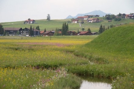 Oberallgäu:  (Obermaiselstein)