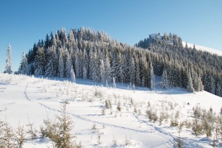 Tirol: Von Jungholz aus auf die Reuterwanne (Jungholz)