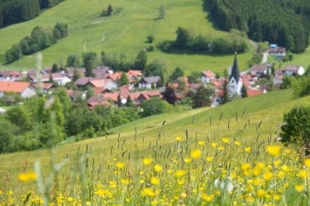 Oberallgäu: Von Wengen aus auf den Schwarzer Grat zum Raggenhorn (Wengen)