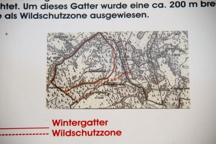 Oberallgäu: Wildschutzzone im Osterral (Sonthofen)