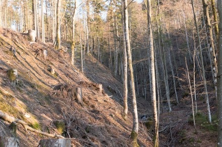 Oberallgäu: 20m hoher Osterdorfer Wasserfall (Oberstaufen)