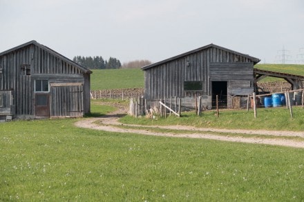 Oberallgäu: Das Reicholzrieder Moos und die Motte von Dietmannsried (Kempten)