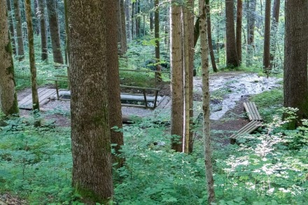 Voralberg: Klopfbrunnen (über 100 Jahre alt) - Kneipp Anlage bei Lingenau (Lingenau)