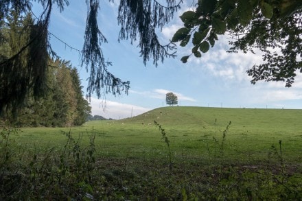 Oberallgäu: Der Burgstall Kapf und Burg(Stall) Bibers-Wang bei Krugzell an der Iller (Altusried)
