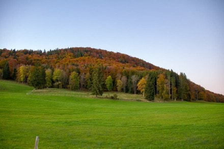 Ostallgäu: Herbsttour auf den Senkelekopf bei Füssen (Füssen)
