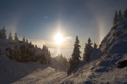 Oberallgäu: Schneeschuhtour auf den Siplingerkopf von Balderschwang aus (Balderschwang)