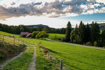 Oberallgäu: Salmaser und Thaler Höhe (Missen)