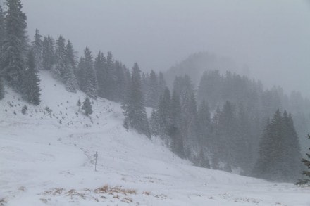 Oberallgäu: Schneesturmtour auf den Mittag und Bärenköpfle (Gunzesried)