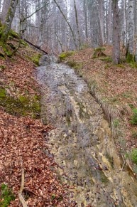 Oberallgäu: Wildes Wasser (Oberstaufen)