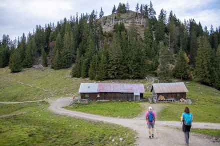 Tirol: Über die Stubental Alpe auf den Pfeifferberg, Reuterwanne und zur Auf der Blöße (Jungholz)