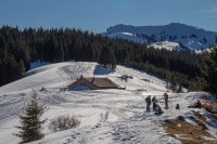 Oberallgäu: Schneeschuhtour zur Höllritzer Alpe (Gunzesried)