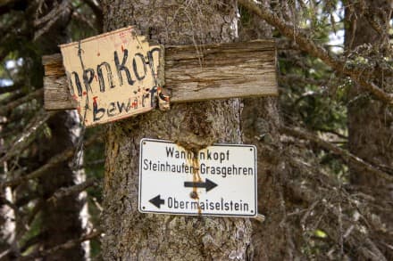Oberallgäu: Bergtour über den Heubergweg auf den Bolgen und Wannenkopf (Obermaiselstein)
