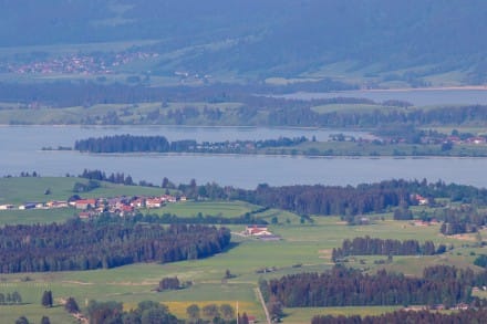 Tirol: Forggensee (Pfronten)