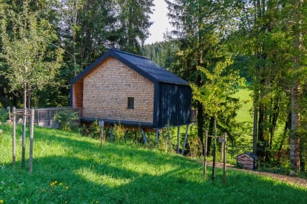 Oberallgäu: Waldunterkunft (Missen)