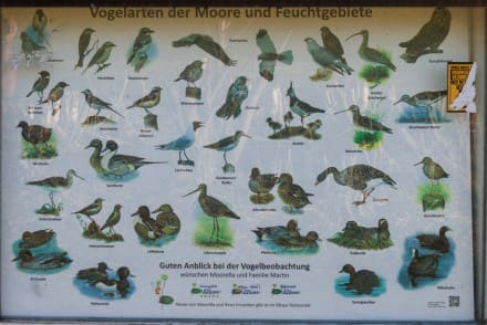 Ostallgäu: Vogelbeobachtung (Marktoberdorf)