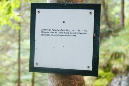 Oberallgäu: Unterkreide-Aptychen-Schichten (Oberjoch)