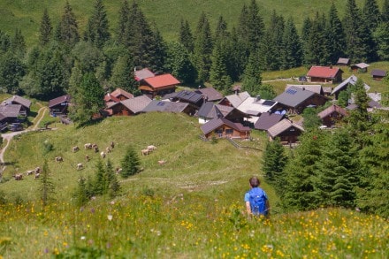 Tirol: Fallerscheinalm - Sennerstüberl (Namlos)