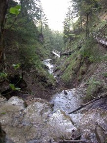 Oberallgu: Alpspitz-Tobelweg (Nesselwang)
