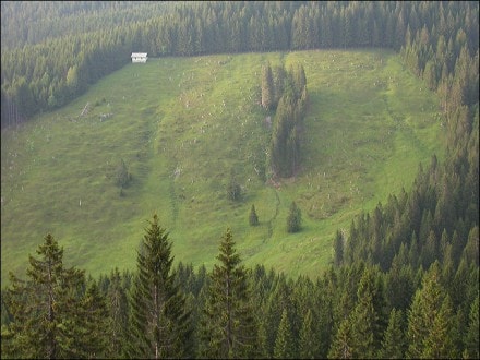 Oberallgu: Dreher Berg  (Immenstadt)