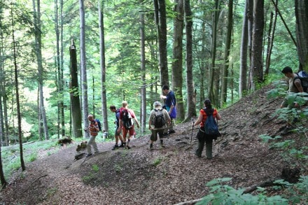 Oberallgu: Falltobel (Niedersonthofen)