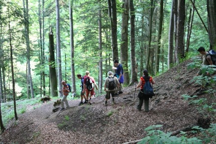 Niedersonthofener Wasserfälle 