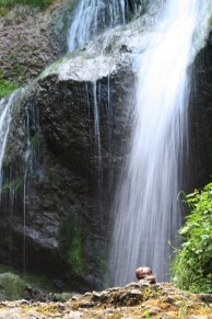 Oberallgu: Falltobel Wasserfall (Niedersonthofen)