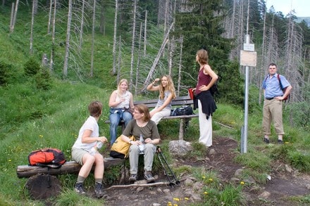 Oberallgäu: Köpfle (Hinterstein)