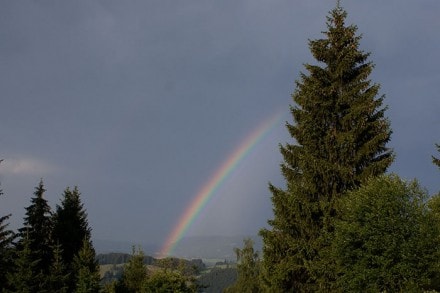 Oberallgu: Gschwender Horn (Immenstadt)
