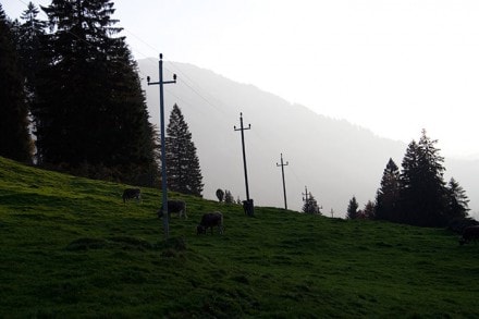 Oberallgu: Rundtour von Nagelfluhkette (Gunzesried)