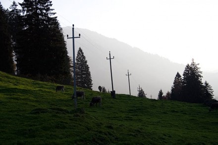 Oberallgäu: Tour (Gunzesried)