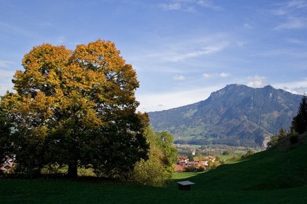 Oberallgu: Steineberg, Brenkpfle und Mittag (Gunzesried)