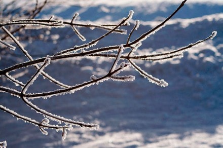 Wanderung zu Strohmayers und Rohrbach bei Wiggensbach