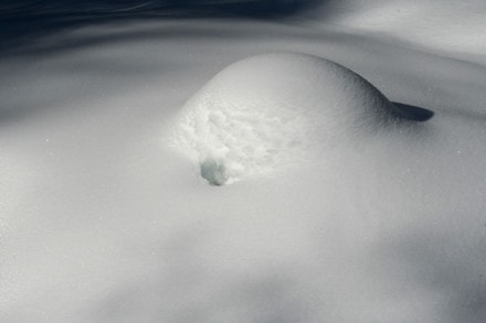 Oberallgäu:  (Balderschwang)