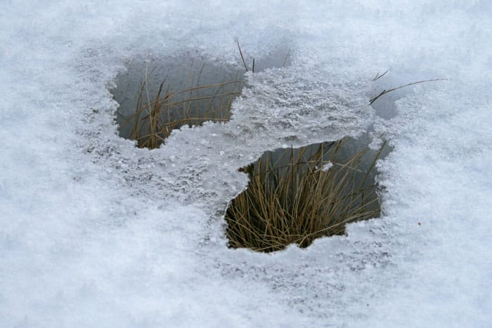 Entlang des Blender Höhenwegs zum Windrad<br />(Wiggensbach - Oberallgäu / 2006)