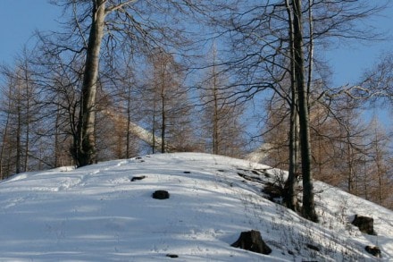 Oberallgäu: Blender Höhenweg (Wiggensbach)