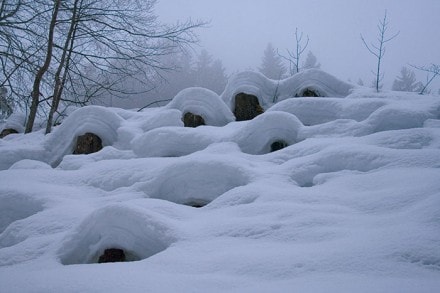 Oberallgäu: Gaisalpe (Oberstdorf)