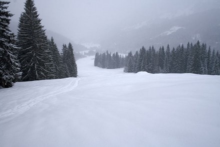 Oberallgäu: Scheuenwände (Balderschwang)