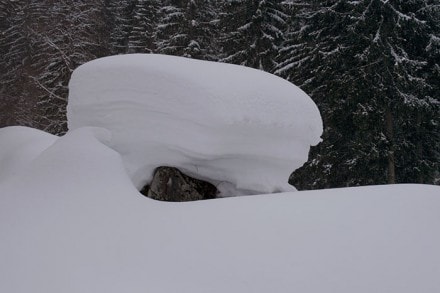 Oberallgäu:  (Balderschwang)