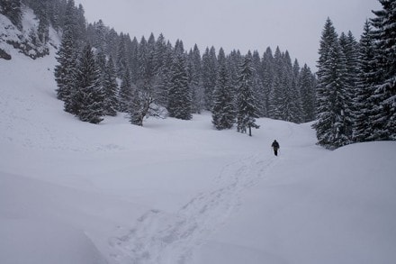 Oberallgäu: Tour (Balderschwang)
