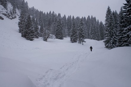 Oberallgäu: Tour (Balderschwang)