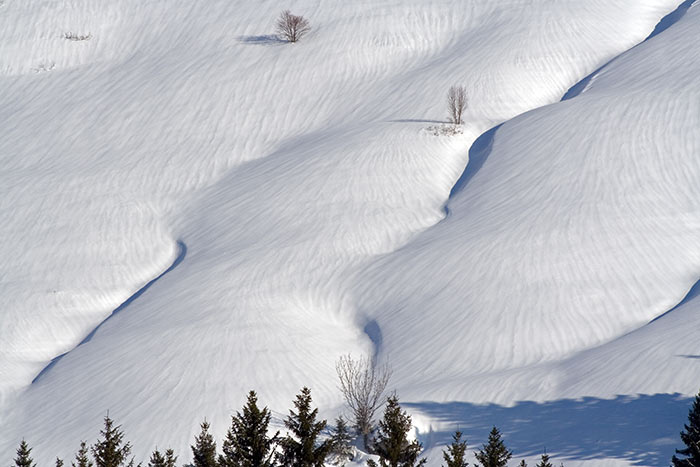 Von der Gunzesrieder Säge aus auf den Tennenmooskopf (Gunzesried - Oberallgäu / 2006)
